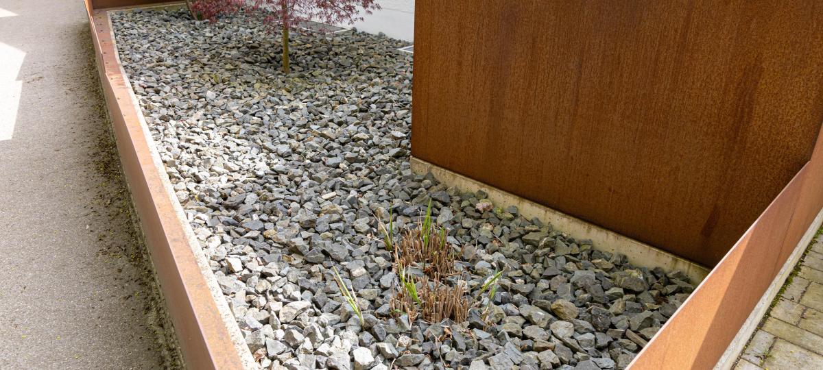 Parteien wollen geschotterte Steingärten in Augsburg deutlich erschweren