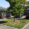 Über dieses Urnengrabfeld hinaus sollen auf dem Holzheimer Friedhof weitere Möglichkeiten für Urnenbestattungen geschaffen werden.