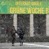 In dichtem Schneetreiben eröffnet die Grüne Woche in Berlin. Zeitgleich stellt die "Initiative Tierwohl" ein eigenes Siegel für Geflügel vor.