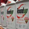 Der juristische Streit um Roundup und Glyphosat könnte für Monsanto und Bayer teuer werden.