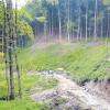 Im Wald in Bebenhausen liegt das Quellgebiet. Hier wurden kürzlich Pumpversuche durchgeführt, um das Wasservorkommen zu ermitteln.  