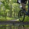  Auf Forstwegen ist Radfahren erlaubt. Streit gibt es, wenn Radler auf Rückegassen und Pfaden im Wald unterwegs sind.