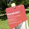 Mit Schildern warnt die Stadt vor dem Eichenprozessionsspinner. Entdeckt wurden die Raupen unter anderem im Wittelsbacher Park.