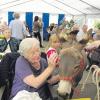 Zwei Esel der Eselfarm Asinella waren willkommene Gäste beim Sommerfest des Kreisseniorenheims Theresienbad in Greifenberg. 