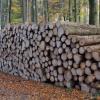 Auch um die Holzpreise  ging es in der Marktgemeinderatssitzung in Rennertshofen.