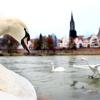 Polizeibeamte wurden in Neu-Ulm am Donauufer aufs Übelste beleidigt.