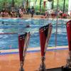 Um diese Pokale ging es beim „Jubiläumswettkampf“ der Schwimmabteilung des TSV Friedberg, der im renovierten Stadtbad vonstatten ging. 
