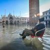 Eine Frau sitzt auf dem zentralen Markusplatz: Der Markusdom hat zahlreiche Hochwasser kommen und gehen sehen. Trotzdem fürchten Experten große Schäden am Unesco-Welterbe.