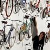 Es muss ja nicht gleich die Sonderausstellung „Das Fahrrad“ im Chemnitzer Industriemuseum sein, um Anregungen für den Fahrradkauf zu finden – die ist ohnehin vorüber. Oft genügen ein paar Gedanken über den Einsatzzweck und ein Gang in den nächsten Radlfachmarkt.