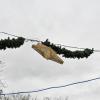 Windböen waren bereits am Donnerstag in der Landsberger Altstadt zu spüren. Die Weihnachtsbeleuchtung am Infanterieplatz musste einiges aushalten.