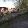 In Peterhof im Landkreis Augsburg ereignete sich am Mittwoch ein schwerer Unfall. Zwei Frauen wurden von einem stürzenden Baum getroffen.