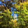 Der goldene Oktober macht seinem Ruf alle Ehre - wie hier im Wittelsbacher Park in Augsburg.