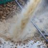 Am Anfang steht ein Wasserstrahl: Wenn die Zuckerrüben in der Fabrik in Rain angeliefert werden, wird von den Früchten erst einmal anhaftendes Erdreich entfernt. Am Dienstag ist die aktuelle Kampagne angelaufen.