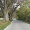 Die Straße zwischen Oberwittelsbach und Aichach soll ausgebaut werden. Der Schutz der alten Baumallee hat dabei Vorrang. Beginn ist noch in diesem Jahr.
