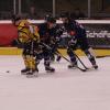 In der Eishockey-Bayernliga gewinnt der HC Landsberg (dunkle Trikots) sein letztes Heimspiel gegen den EC Pfaffenhofen. Mit 5:2 setzen sich die Riverkings gegen den Tabellenletzten durch. Hier die Bilder vom Spiel.