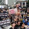 Tierschützer veranstalten eine Kundgebung gegen die traditionelle Kultur des Verzehrs von Hundefleisch in Südkorea.