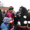 Beim großen Faschingsumzug in Kammlach war auch heuer wieder viel geboten.