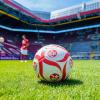 Der 1. FC Kaiserslautern spielt im DFB-Pokal heute gegen Jahn Regensburg. Hier gibt es die Infos zur Übertragung im TV und Stream.