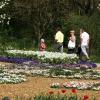Der Botanischen Garten erstrahlt am Samstag nicht nur in bunten Farben, sondern es wird auch die Oper Die Zauberflöte von Wolfgang Amadeus Mozart aufgeführt. 