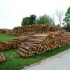 Holzstämme soweit das Auge reicht: am Ortsrand von Mickhausen wurde ein riesiger Lagerplatz für Rundholz angelegt.