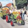 Ein prächtiger Umzug mit Blumenwagen war 2005 einer der Höhepunkte des großen Fest des Obst- und Gartenbauvereins Huisheim-Gosheim.  