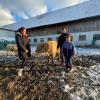 Niklas und seine Eltern Sabrina und Wolfgang Mähler bei den schottischen Langhorn-Rindern. Niklas liebt die Tiere sehr. 
