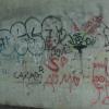Graffitimaler sind immer wieder ungebeten am Werk. Auch im Stadtgebiet Rain hat es wiederholt Fälle gegeben. 