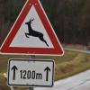 Zwei Rehe haben am Donnerstag einen Unfall verursacht.