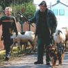Ein Bild, das es heute nur noch selten gibt: Es zeigt Anton Briegel zusammen mit Markus Wiedenmann (links) mit einer Gruppe von Schafen in Rettenbach auf dem Weg zur Weide. Es stammt aus dem Jahr 2015. 