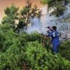 Ein Feuerwehrmann kämpft gegen einen Waldbrand auf der Insel Euböa, etwa 160 Kilometer nördlich von Athen. In Teilen Südeuropas und in Griechenland kämpfen die Menschen weiter gegen heftige Waldbrände und extreme Hitze.