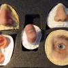 Blick in den Musterkoffer des Epithetikers Werner Roschmann: Nasen, ein Ohr, ein Finger und eine Augenpartie aus Silikon, die der Fachmann wie ein Kunsthandwerker individuell für jeden Patienten gestaltet. 