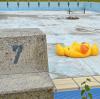 Ein trauriger Anblick, so ein  verlassenes Schwimmbad: Mit Bildern wie diesem werben die Initiatoren der Petition „Rettet die Bäder“ gegen die Schließung öffentlicher Bäder.