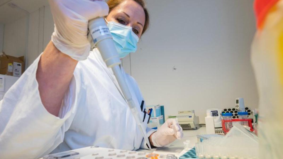 Was ein PCR-Test kostet und wer ihn machen darf oder muss.