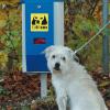 Die Gemeinde Obergriesbach schafft drei Hundetoiletten an und stellt sie in Obergriesbach und im Ortsteil Zahling auf.