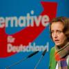 Die AfD hat nach ihrem Erfolg bei der Wahl zum Berliner Abgeordnetenhaus auch bundesweit zugelegt. Hier: Beatrix von Storch, stellvertretende Sprecherin des AfD-Bundesvorstandes. 