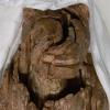 Das Jahrtausende alte Mischwesen aus Tier und Mensch ist die weltweit größte bislang gefundene Figur aus der Eiszeit. Nun werden der Löwenmensch und andere Funde aus der Eiszeit gezielt vermarktet.