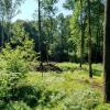 In einem Areal am Buchwald im Neu-Ulmer Stadtteil Reutti soll am 1. Oktober ein Waldkindergarten den Betrieb aufnehmen. 