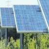 Aus der Kiesgrube in Haldenwang könnte ein Solarpark werden. 