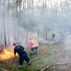 So weit soll es dank der Luftbeobachter nicht kommen: Feuerwehrkräfte bekämpfen einen kleineren Waldbrand. (Archiv)