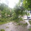 Am Augsburger Königsplatz wütete der Sturm, etliche Bäume waren betroffen.