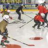 Ohne Kinder keine Zukunft. Das gilt im Eishockey wie im richtigen Leben. Zu Recht legt der Bayerische Eissport-Verband deshalb Wert darauf, dass die Vereine genügend Nachwuchsteams stellen.