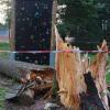 Auf dem Zeltlager-Gelände in Rickenbach waren Bäume umgestürzt. Ein Jugendlicher starb.