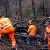 Tagelang dauerten die Aufräumarbeiten nach dem orkanartigen Sturm Kyril, der im Januar 2007 für große Schäden gesorgt hatte. 