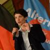 Die AfD-Chefin Frauke Petry warnt scharf vor einer Zuwanderung von Muslimen. (Archivfoto)