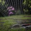 Auch das gehört zum Wassersparen: Für die Bewässerung des Gartens sollte so weit wie möglich Regenwasser genutzt werden. 