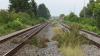 Wohin führt der Weg der Hesselbergbahn? Hoffentlich zurück auf sanierte Trassen, meinen die Befürworter des Bahnprojektes im Ries. 	