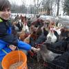 Der elfjährige Lorenz Biehler ist eine der wichtigsten Bezugspersonen für die rund 140 Hühner der Familie. Wenn er zum Streicheln und zum Füttern kommt oder um die Eier einzusammeln, hat er gleich die ganze Meute um sich versammelt.  	 	

