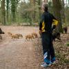 Pause für den Jogger: Die kleine Wildschwein-Familie sollte man in Ruhe ziehen lassen.