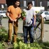 Amir Rezae, Alireza Nazari, Muhamed Emini und Izat Hasan Karo (von links) an einem Gemüsebeet, dass die Flüchtlingsfamilien in der Windprechtstraße (Antonsviertel) angelegt haben. 