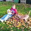 Rote, gelbe und braune Blätter zeigt der 11-jährige Dominik der neugierigen Zeitungsente. Hund Taira findet das bunte Laub toll zum Herumwühlen. Foto: Eckert